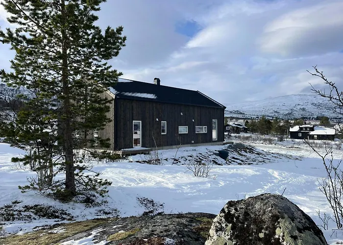 Feriehus Modern Cabin In Maurset In Hardangervidda *