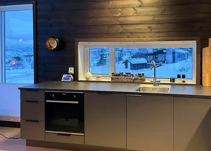 Modern Cabin In Maurset In Hardangervidda Garden