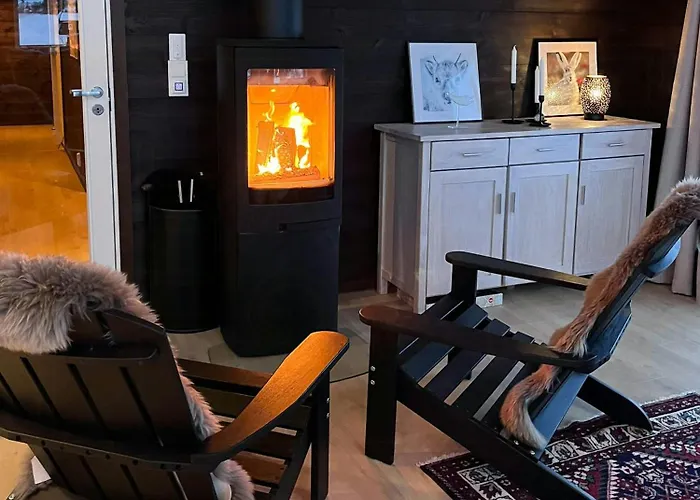 Modern Cabin In Maurset In Hardangervidda Garden